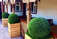 Бакинский дворик 